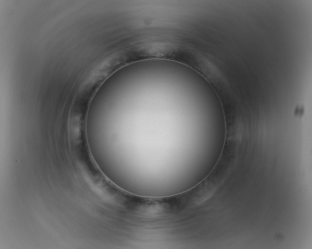 X0000113260646200909171650