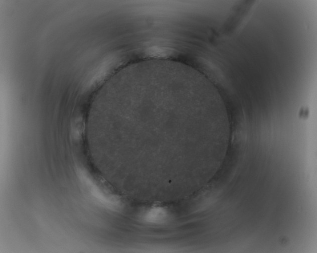 X0000113260647200909171650