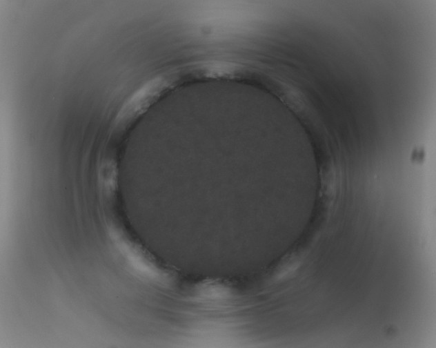 X0000113260648200909171651