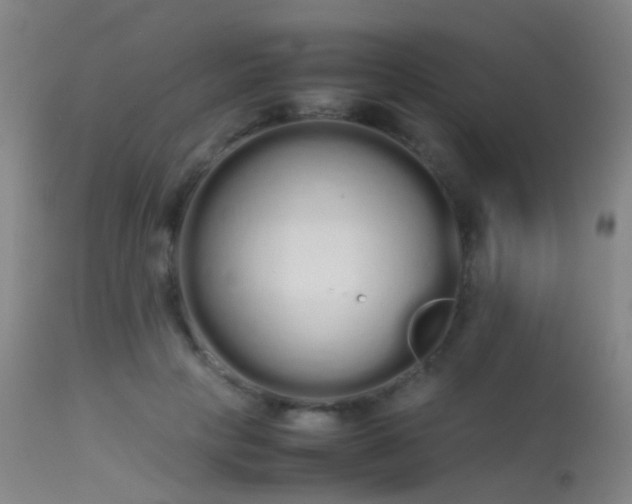 X0000113260649200909171651