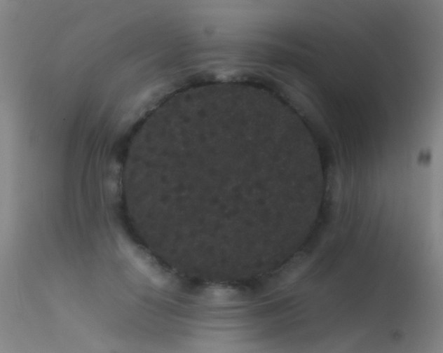 X0000113260650200909171651