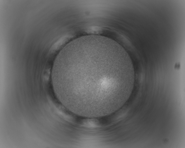 X0000113260652200909171651