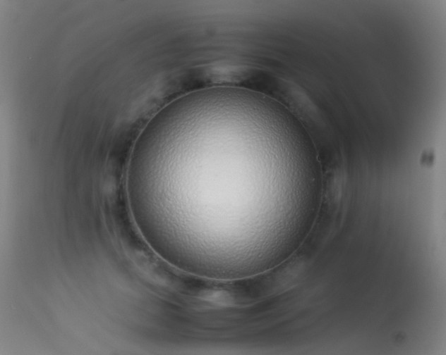 X0000113260655200909171651