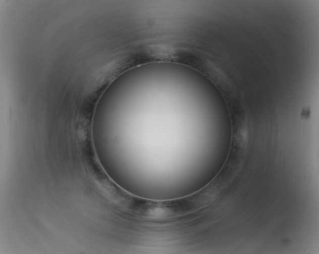 X0000113260658200909171651