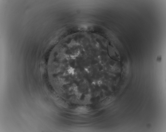 X0000113260659200909171651