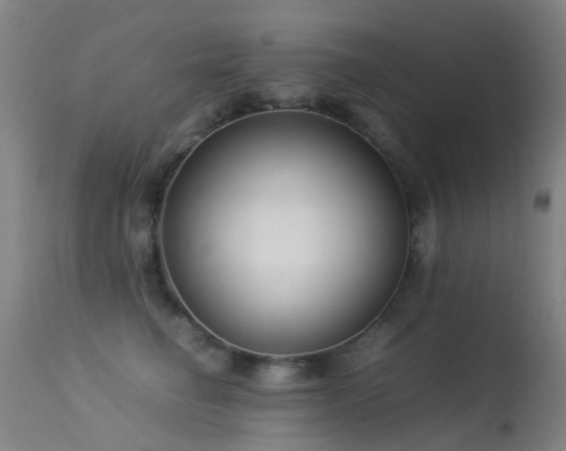 X0000113260662200909171651