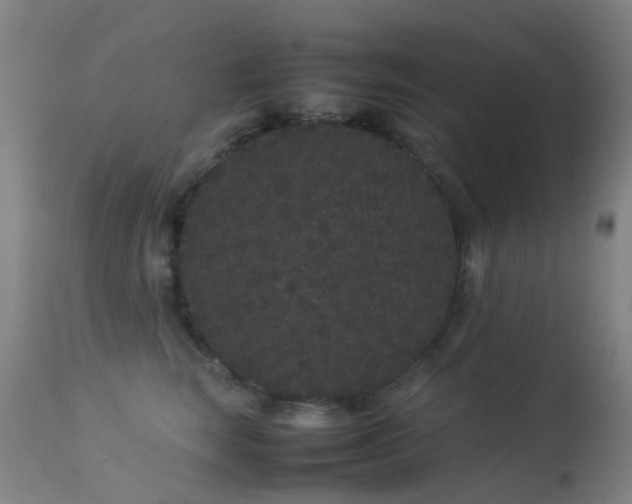 X0000113260663200909171651