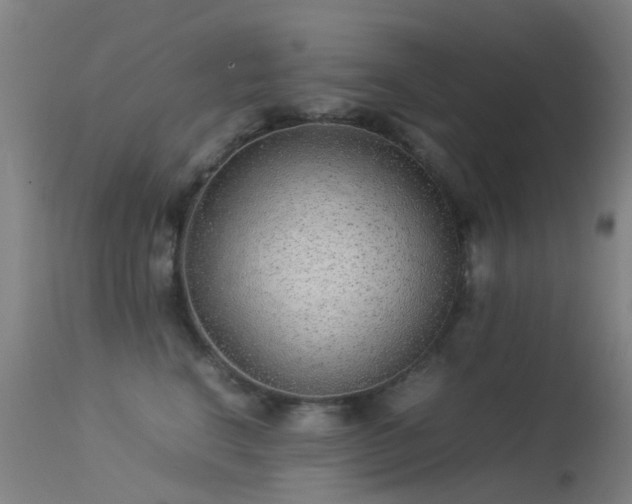 X0000113260664200909171651