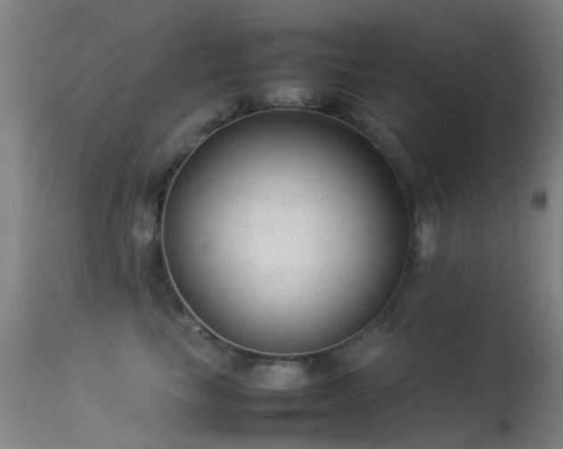 X0000113260665200909171651