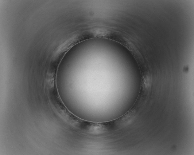 X0000113260666200909171651