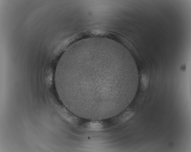 X0000113260668200909171651