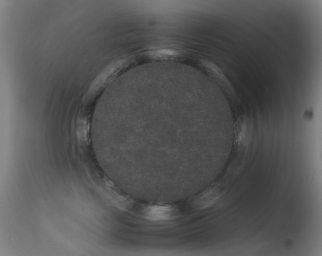 X0000113260669200909171651