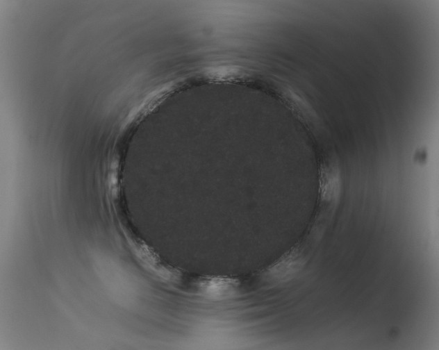 X0000113260670200909171651