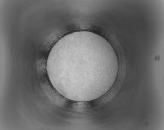 X0000113260672200909171651