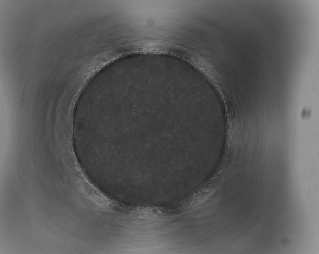 X0000113260673200909171650