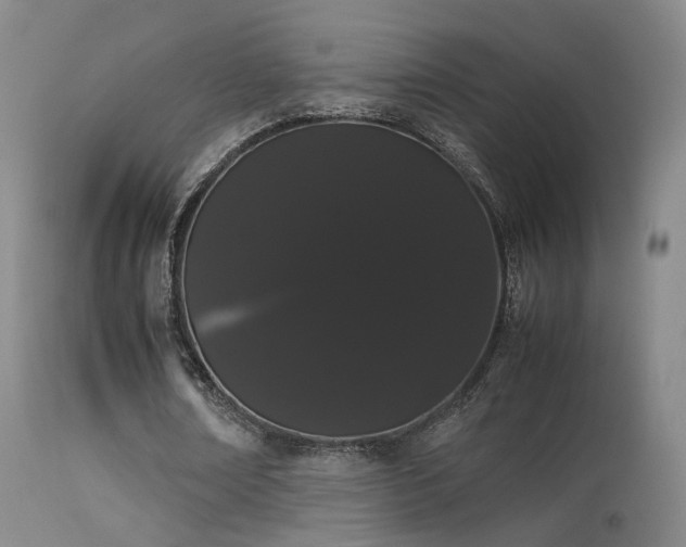 X0000113260674200909171650