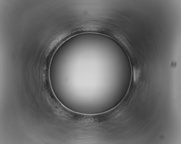 X0000113260675200909171650