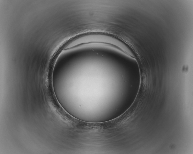 X0000113260676200909171650