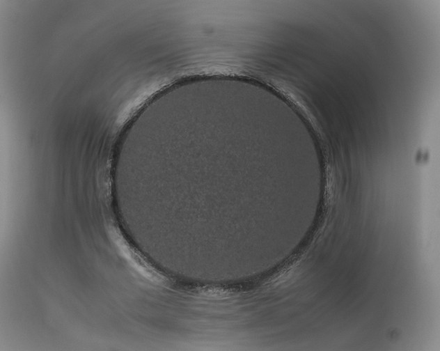 X0000113260677200909171650