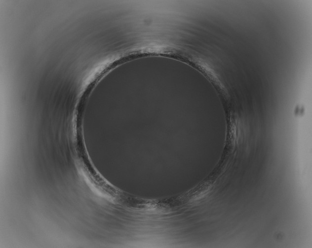 X0000113260678200909171650