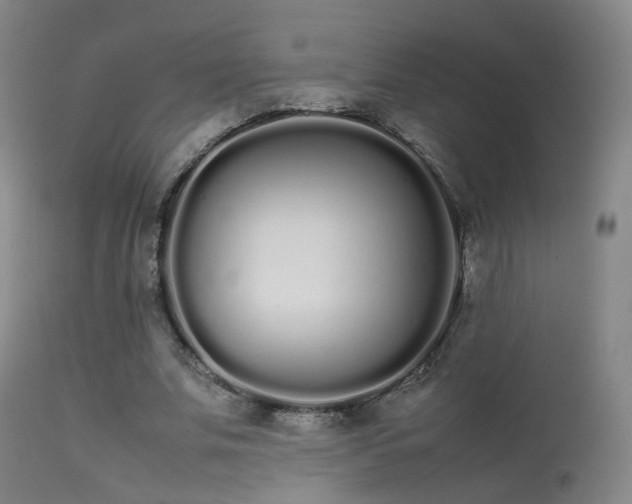 X0000113260679200909171650