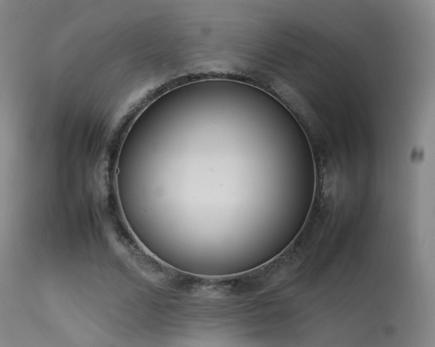 X0000113260680200909171650