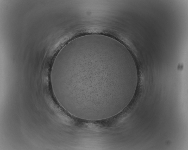 X0000113260681200909171650