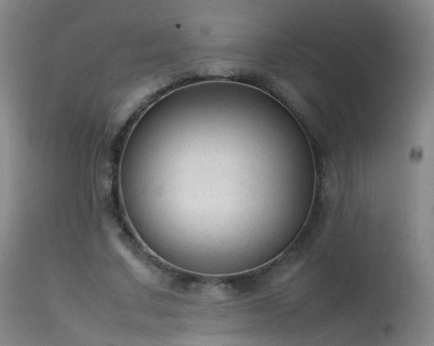 X0000113260683200909171650