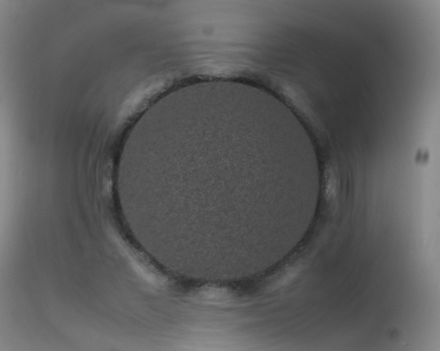 X0000113260685200909171650