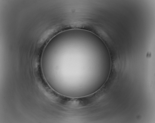 X0000113260687200909171650