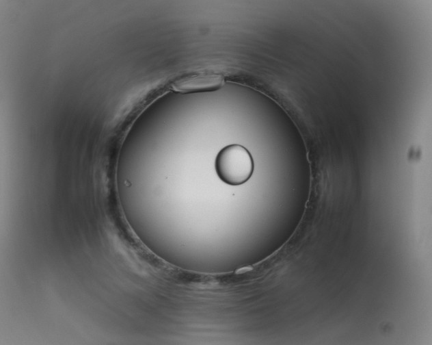 X0000113260688200909171650