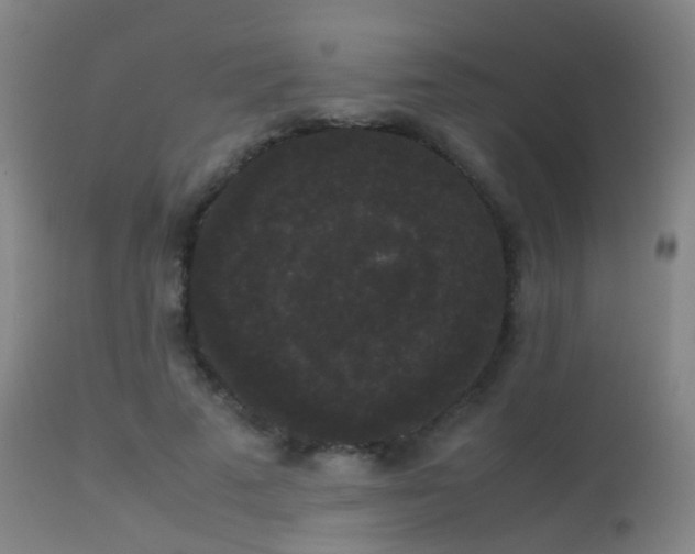 X0000113260689200909171650