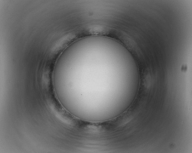 X0000113260690200909171650