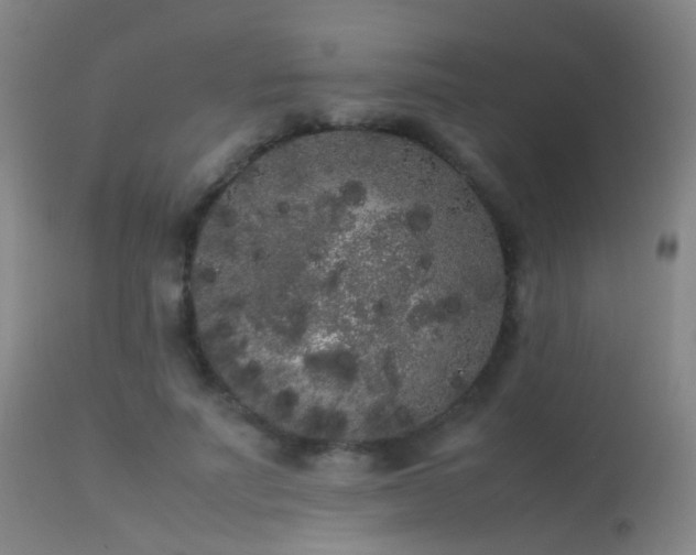 X0000113260691200909171650