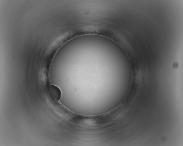 X0000113260692200909171650