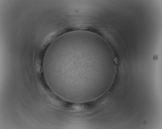 X0000113260693200909171650