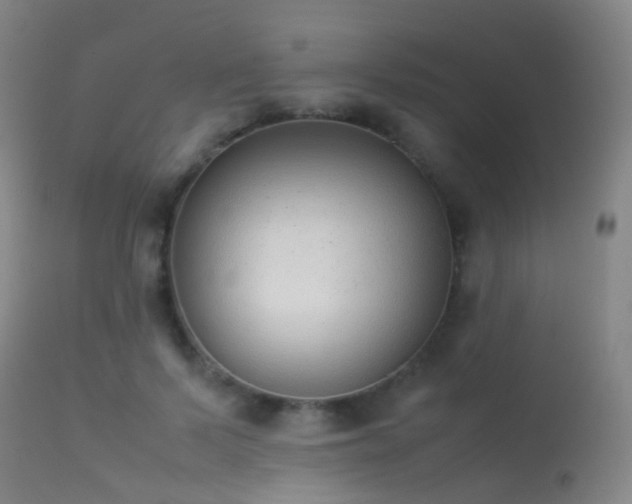 X0000113260695200909171650