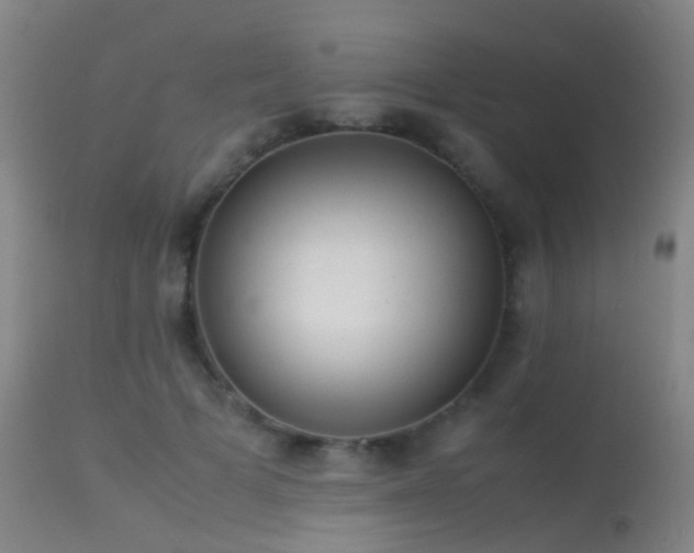 X0000113260697200909171650