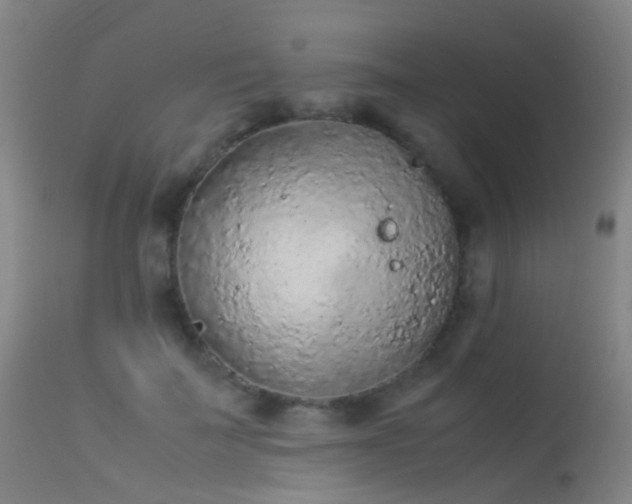 X0000113260699200909171650