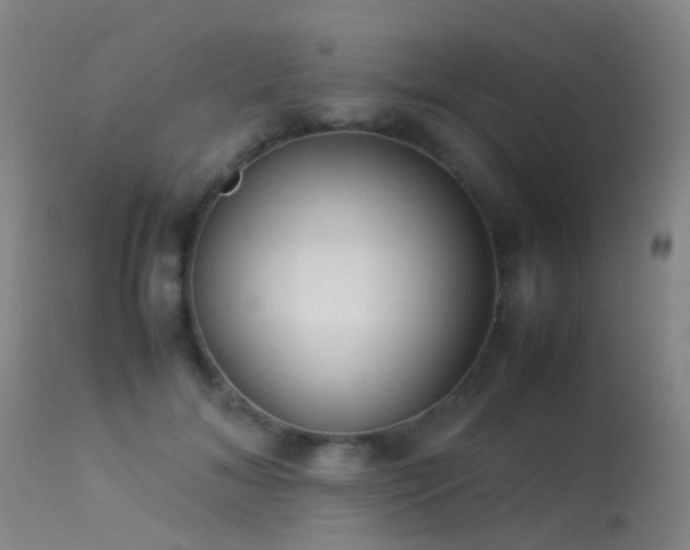 X0000113260700200909171650