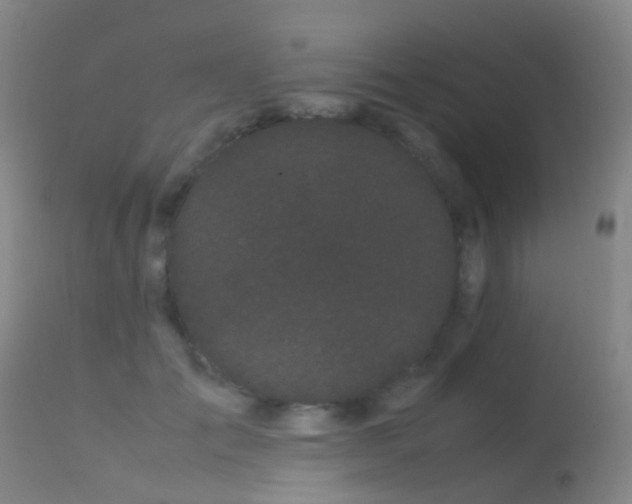 X0000113260701200909171650