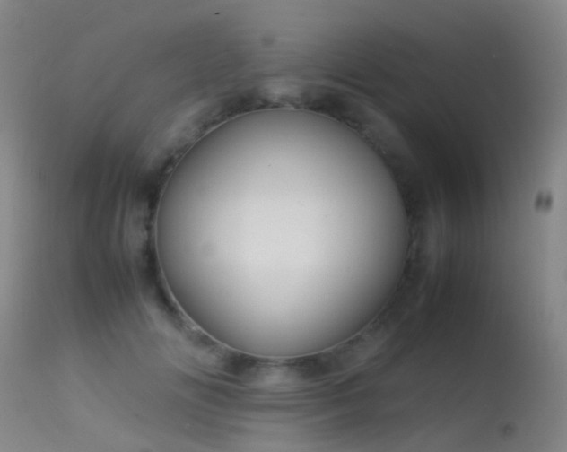 X0000113260702200909171650