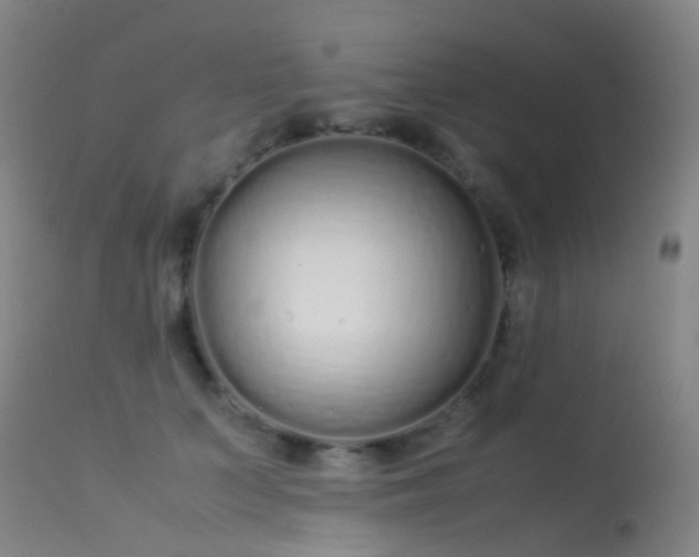 X0000113260703200909171650