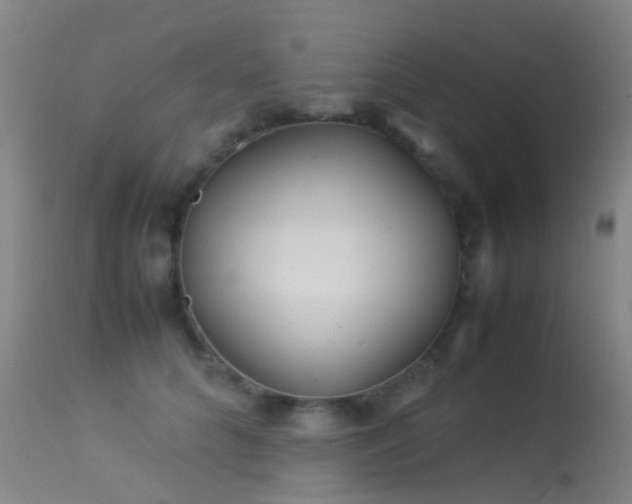 X0000113260704200909171650