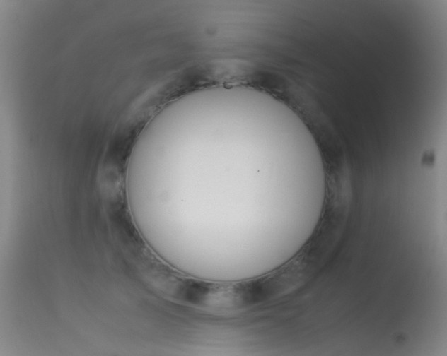 X0000113260705200909171650