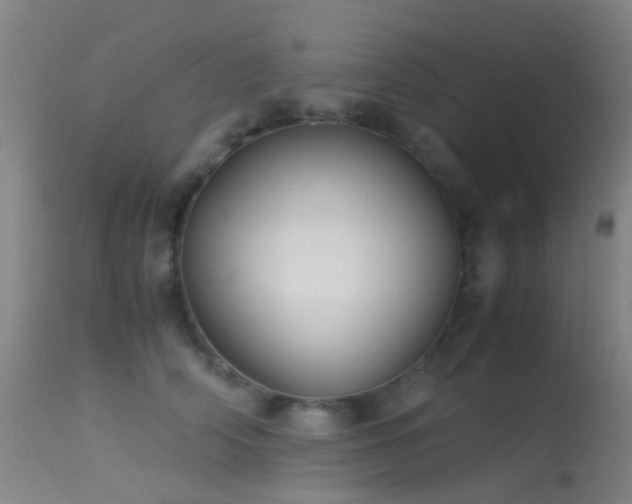 X0000113260706200909171650