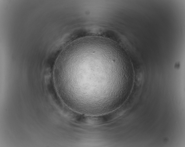 X0000113260707200909171650