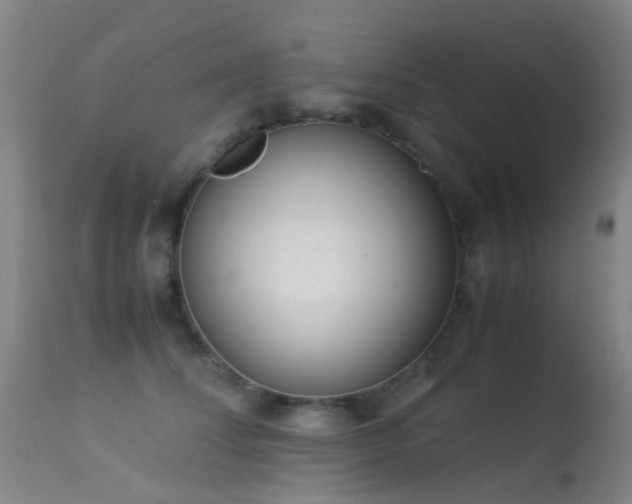 X0000113260708200909171650