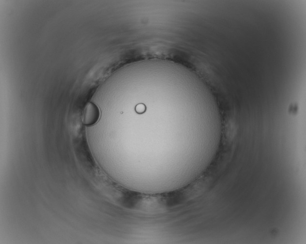 X0000113260709200909171650