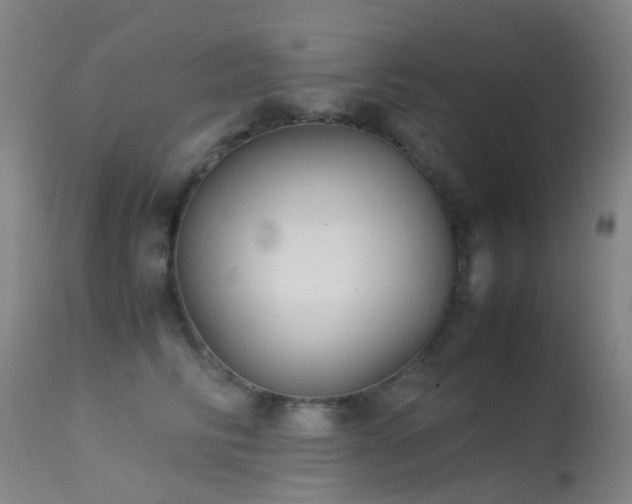 X0000113260710200909171650